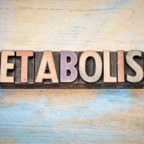 Metabolisme - Keto voor Beginners - Nederland Frankrijk